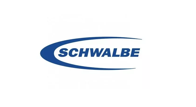 Schwalbe